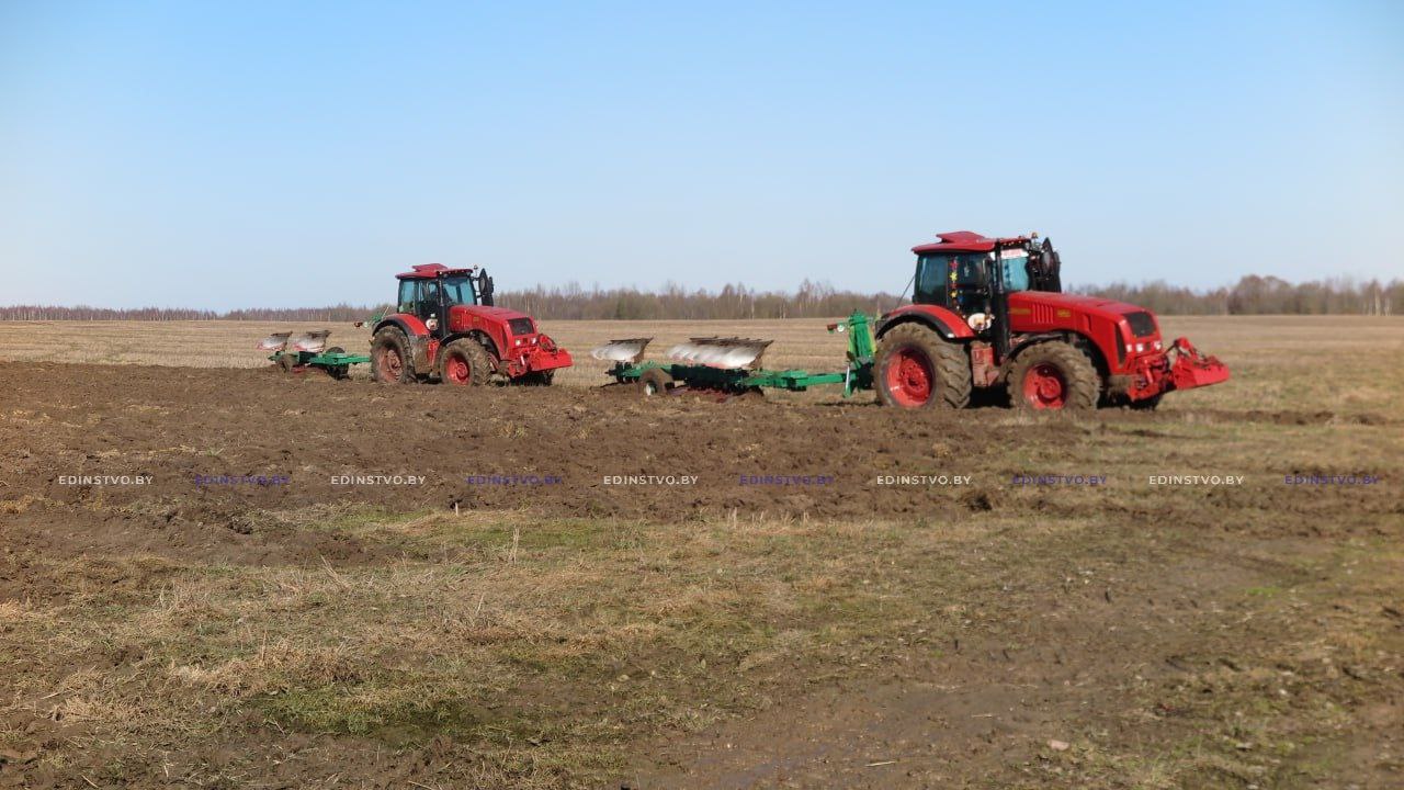Когда день год кормит: аграрии Борисовского района приступили к полевым работам