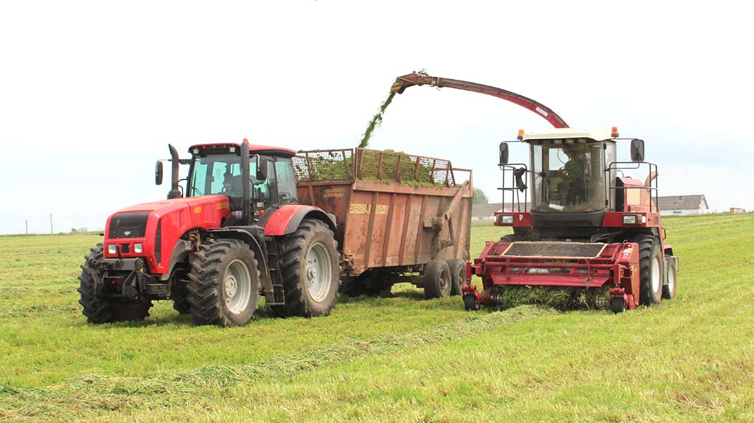 Заготовка травяных кормов – на финишной прямой