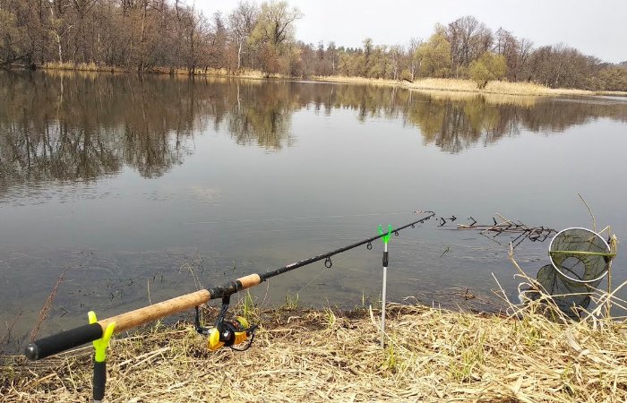 С 20 марта в Беларуси вводится нерестовый запрет на ловлю рыбы
