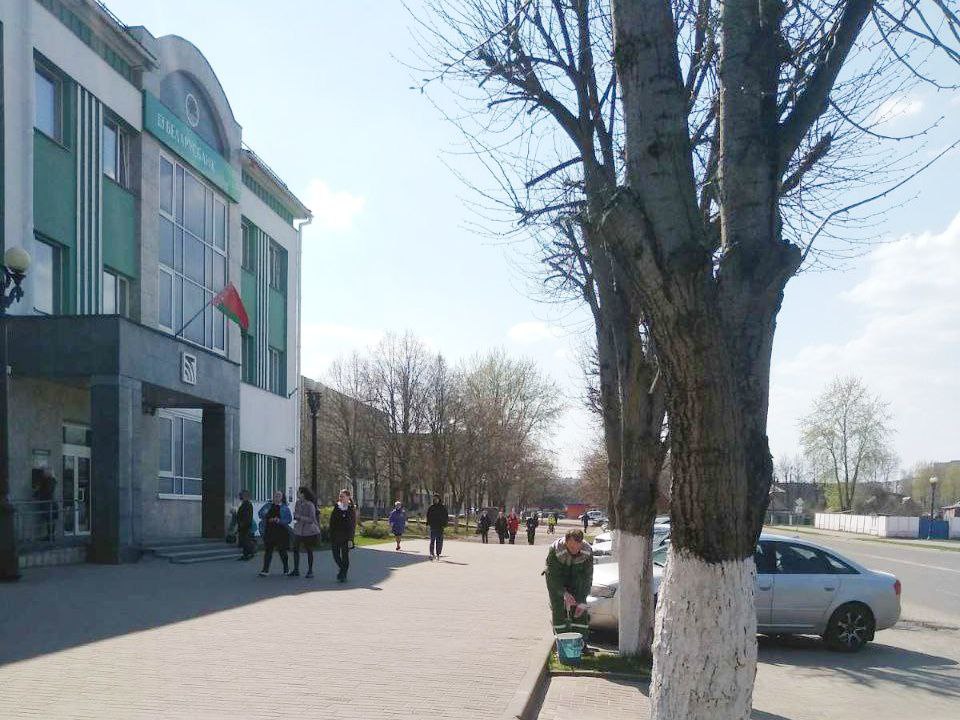 Борисовчане продолжают наводить чистоту и порядок в городе