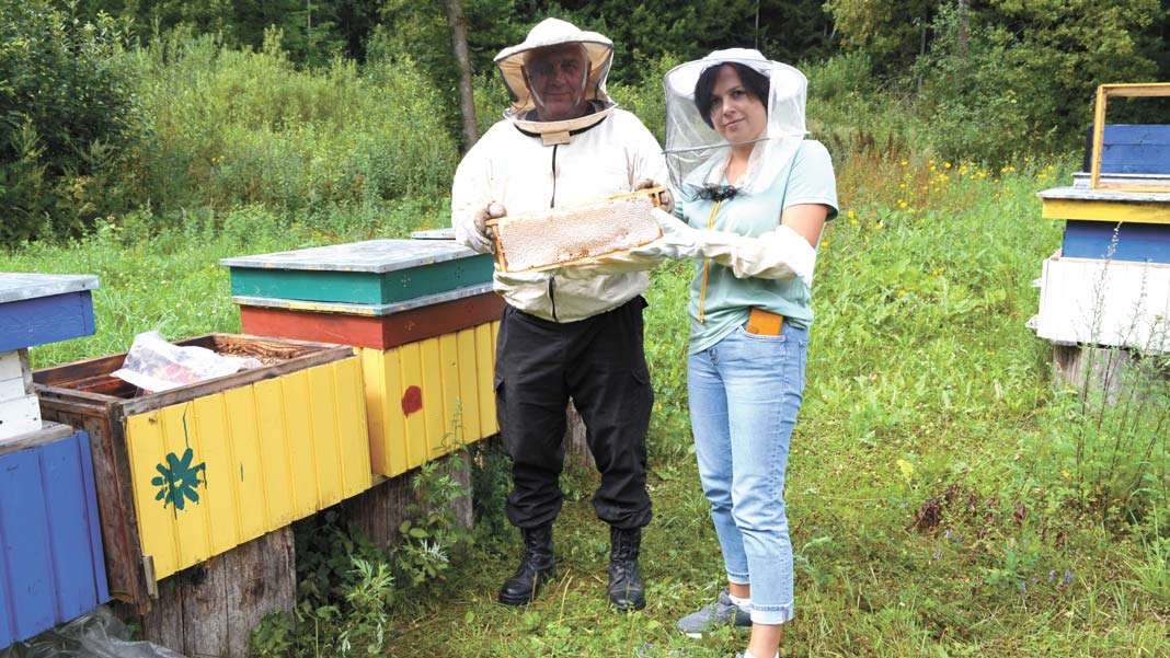 Как наш журналист осваивал профессию пчеловода