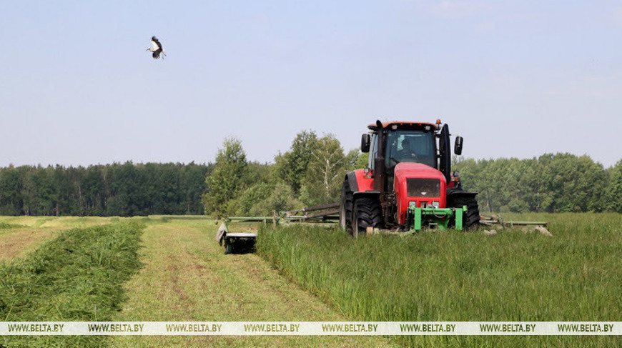 В Беларуси травы первого укоса скошены на более чем 1 млн га