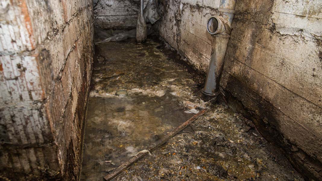 Потоп в подвале: кто отремонтирует канализацию?