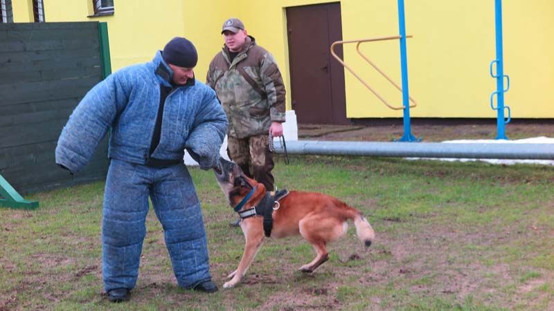 Погладить служебную собаку, примерить шлем и поучиться приемам самообороны смогли школьники в Департаменте охраны