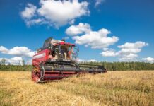 В Борисовском районе практически убрана пятая часть хлебной нивы