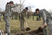 Александр Лукашенко в день республиканского субботника работает на благоустройстве мемориального комплекса «Хатынь»