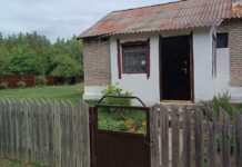 Модернизации быть! Узнали, как решается задача по наведению порядка в Иканском ФАПе