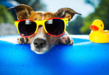 Рекомендации врача: как защитить себя в жару