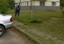 Внимание! В микрорайоне Лядище Борисова видели змей