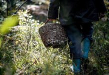 В Борисовском районе работники МЧС нашли заблудившегося в лесу мужчину