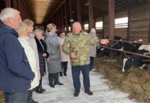 О том, как развиваются отдаленные сельсоветы Борисовского района