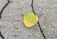 Фотофакт: Небо уже дышит осенью