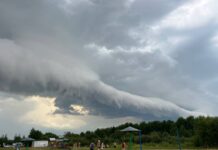 Каким видит лето юнкор редакции Елизавета Гасподарик. Фоторепортаж