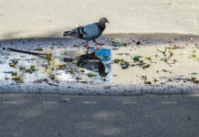 ФОТО ДНЯ: а кто это там такой красивый в отражении?