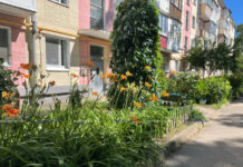 Жители Печей объединились и создали образцовый двор. Взгляните на их совместное творчество