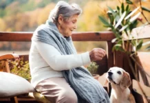 Компаньоны. Истории, которые показывает жизнь