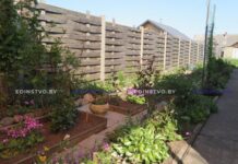 На Борисовщине продолжается конкурс «Мой уютный мир»