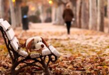 Осенняя депрессия: семь способов повысить настроение