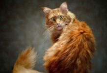 Мне придержали дверь в подъезд. Написала целый пост по этому поводу! Размышляем вместе