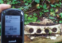 В Борисове “Авиапоиск-Борисов” локализовал место падения вертолета Ми-4