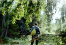 Пошел за грибами и заблудился. Спасатели помогли жителю Борисовского района выйти из леса