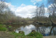 Акварельный апрель. Месяц, открывающий «настоящую» весну, вступил в свои права