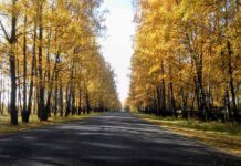 Осень в кадре