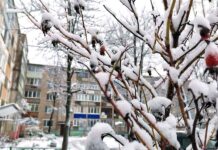 Фотоэтюд: дремлет мой дворик заснеженный…