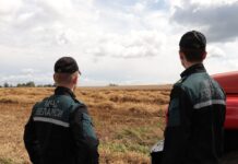 Корреспондент “А” побывала в рейде с сотрудниками Борисовского ГРОЧС. Что выявили?