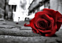 Перакрыжаванне. На вуліцах горада можна ўбачыць сваю філасофію