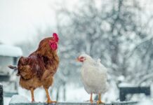 Чему учит сказка: правда жизни глазами ребенка