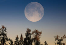 19 августа можно увидеть уникальное полнолуние