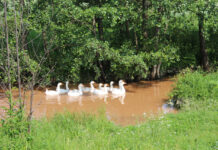 ФОТО ДНЯ: водная экскурсия