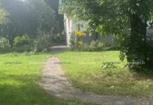 Почему журналисты районки вернулись к «змеиному вопросу» в Лядище, поднятому около полумесяца назад