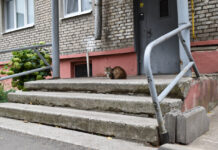 ФОТО ДНЯ: сторож у подъезда