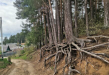 ФОТО ДНЯ: чудеса природы