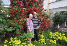 Борисовчане создали райский уголок под своими окнами