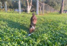 ФОТО ДНЯ: потянулись, улыбнулись