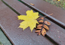 Время светлой грусти