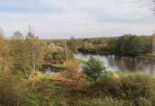 Фоторепортаж: Спешила осень на свиданье к сентябрю…