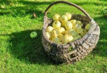 Мостик к осени. Посмотрите, какую красоту нам рисует природа