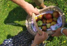 Яблочный Спас: история и традиции праздника