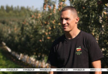 “Точно белорусское?” Фермер выращивает яблоки, не уступающие по вкусу и сохранности мировым