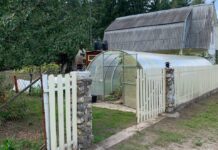 В Борисовском районе оперативно задержали вора