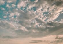 ФОТО ДНЯ: словно перышки