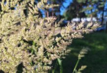 ФОТО ДНЯ: прощай, лето