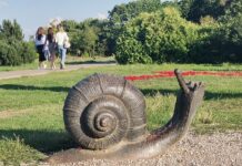 ФОТО ДНЯ: улитка