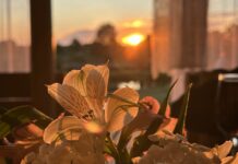 ФОТО ДНЯ: верьте в мечты