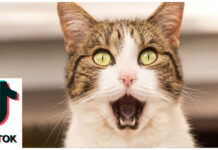 Почему борисовчане рассказывают о проблемах в социальных сетях? Размышляем с главредом Татьяной Сакович