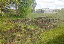 Что нужно помнить, выжигая сухую траву